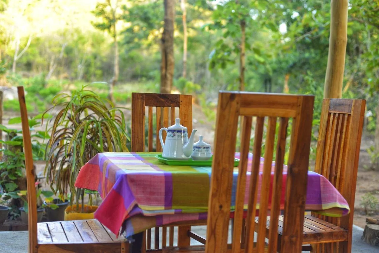 Pidurangala View Treehouse Appartement Sigiriya 0*,  Sri Lanka