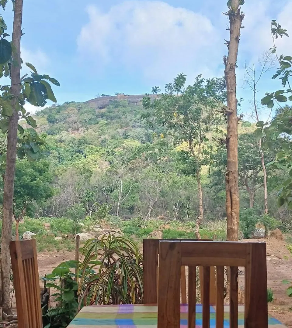 Pidurangala View Treehouse Appartement Sigiriya Sri Lanka