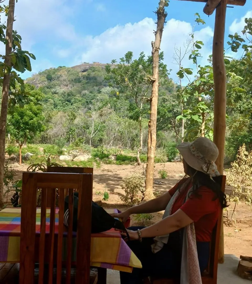 Pidurangala View Treehouse Appartement Sigiriya 0*,  Sri Lanka