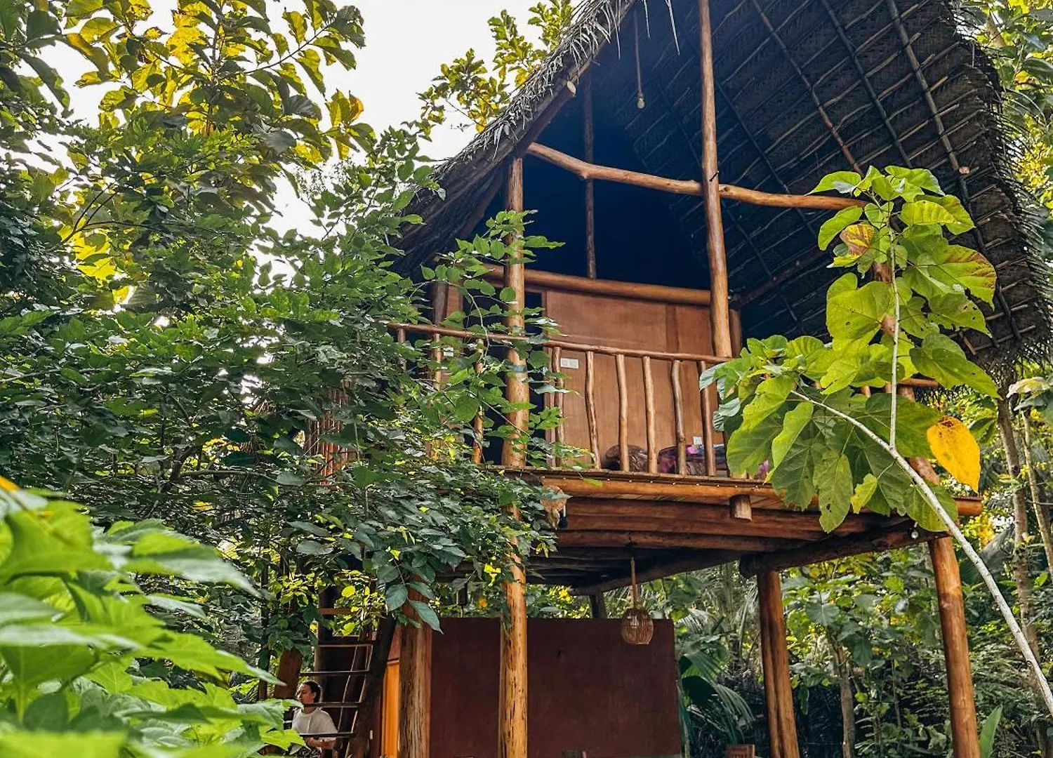 Pidurangala View Treehouse Appartement Sigiriya Accommodatie bij particulieren