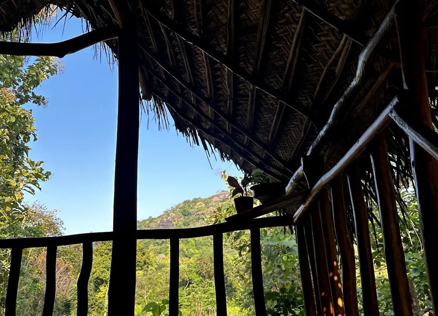 Pidurangala View Treehouse Appartement Sigiriya Accommodatie bij particulieren