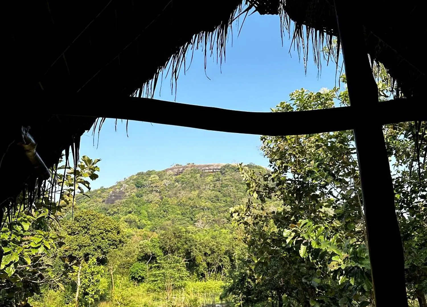 Pidurangala View Treehouse Appartement Sigiriya