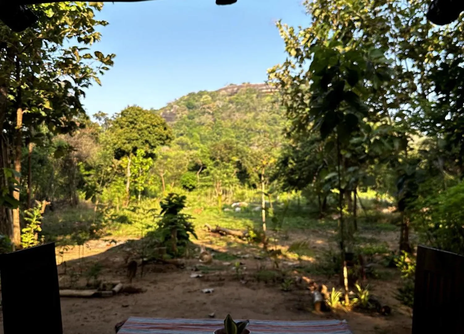 Accommodatie bij particulieren Pidurangala View Treehouse Appartement Sigiriya